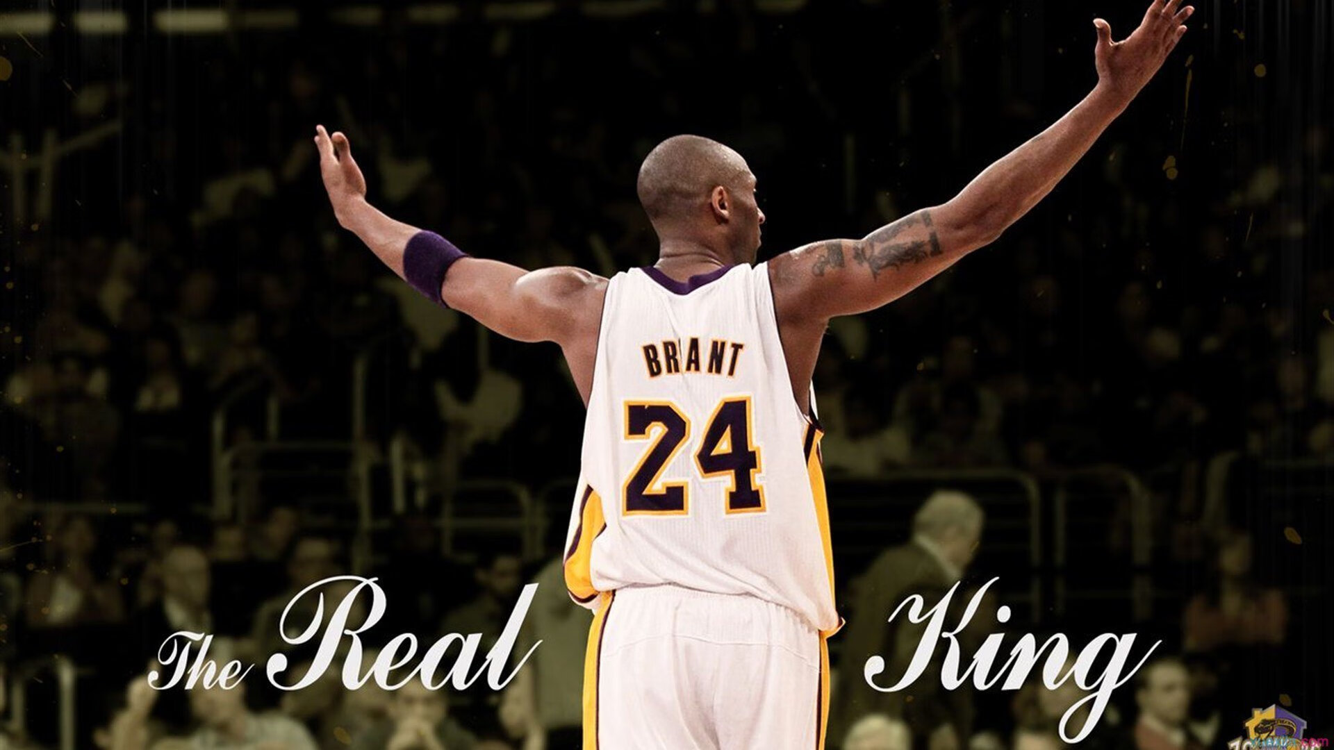 体育科技大会释放重要信号，2020年体育科学大会